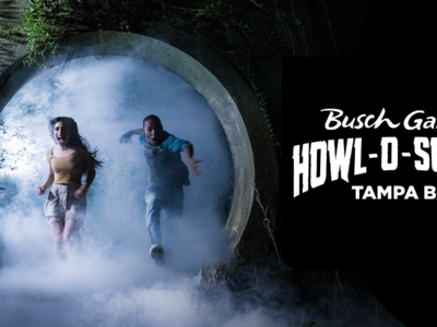 Saiba Tudo Sobre o Busch Gardens Howl-O-Scream 2024