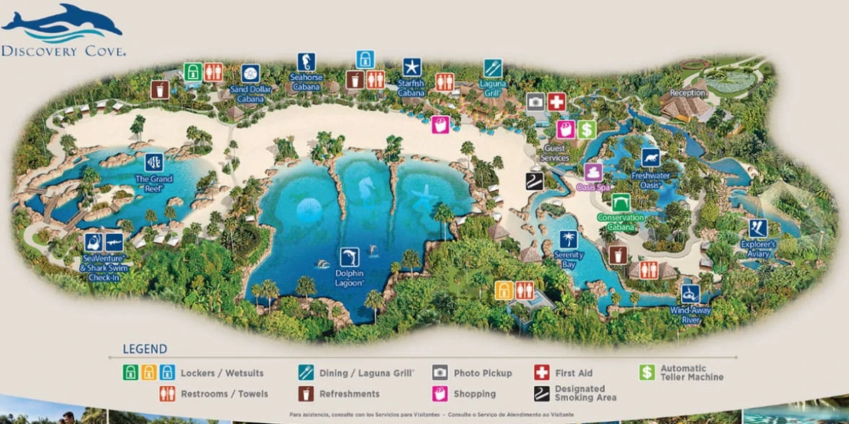 discovery cove cancun